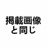 掲載画像と同じ